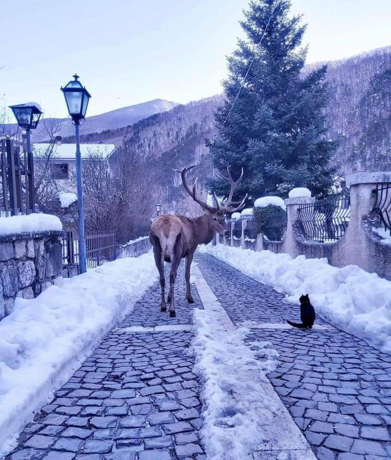 Casa Vacanze Al Castello Villetta Barrea Buitenkant foto