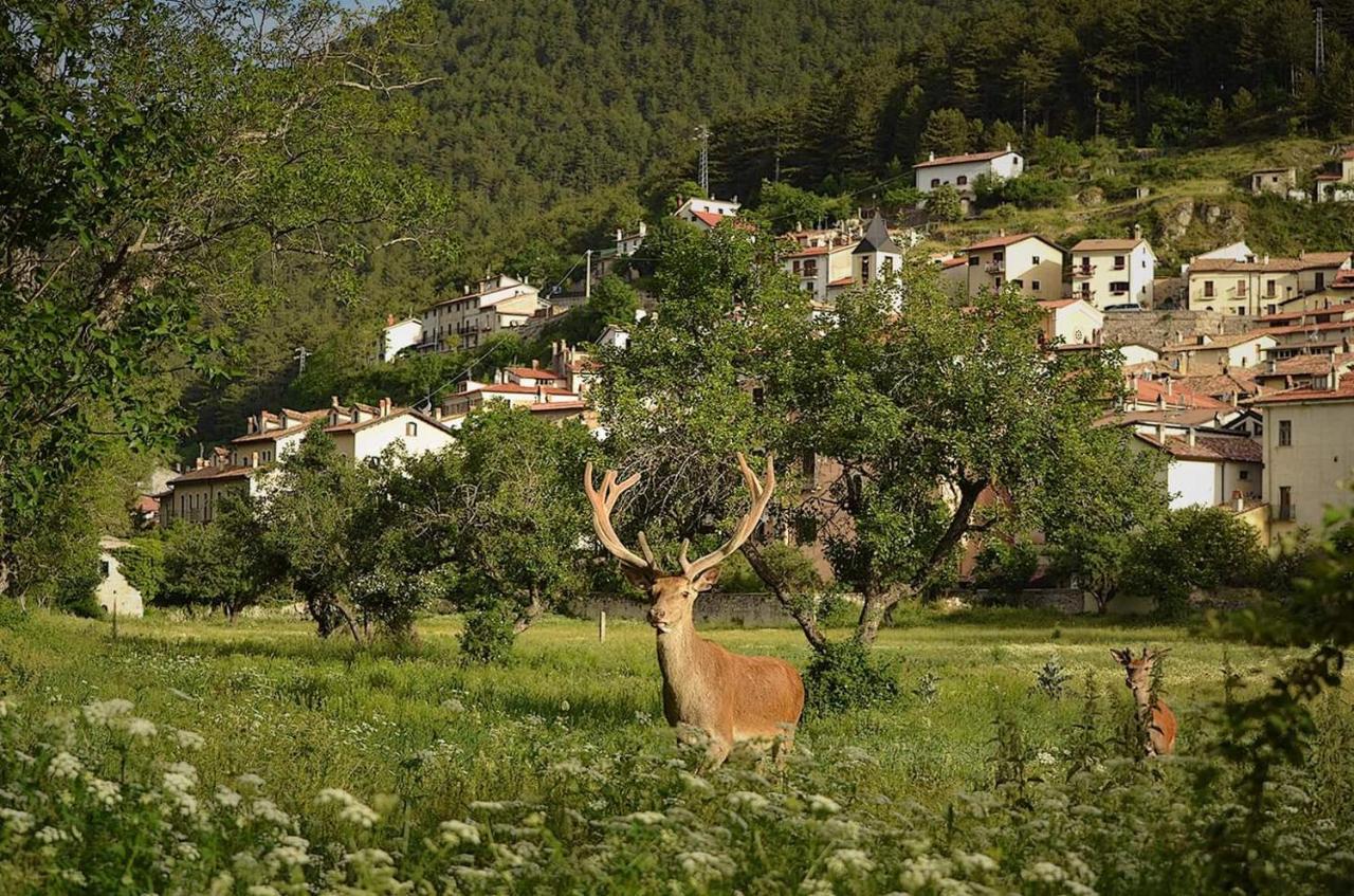 Casa Vacanze Al Castello Villetta Barrea Buitenkant foto