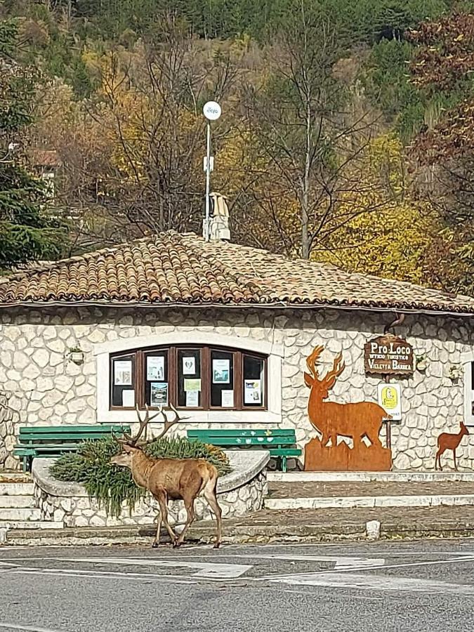 Casa Vacanze Al Castello Villetta Barrea Buitenkant foto