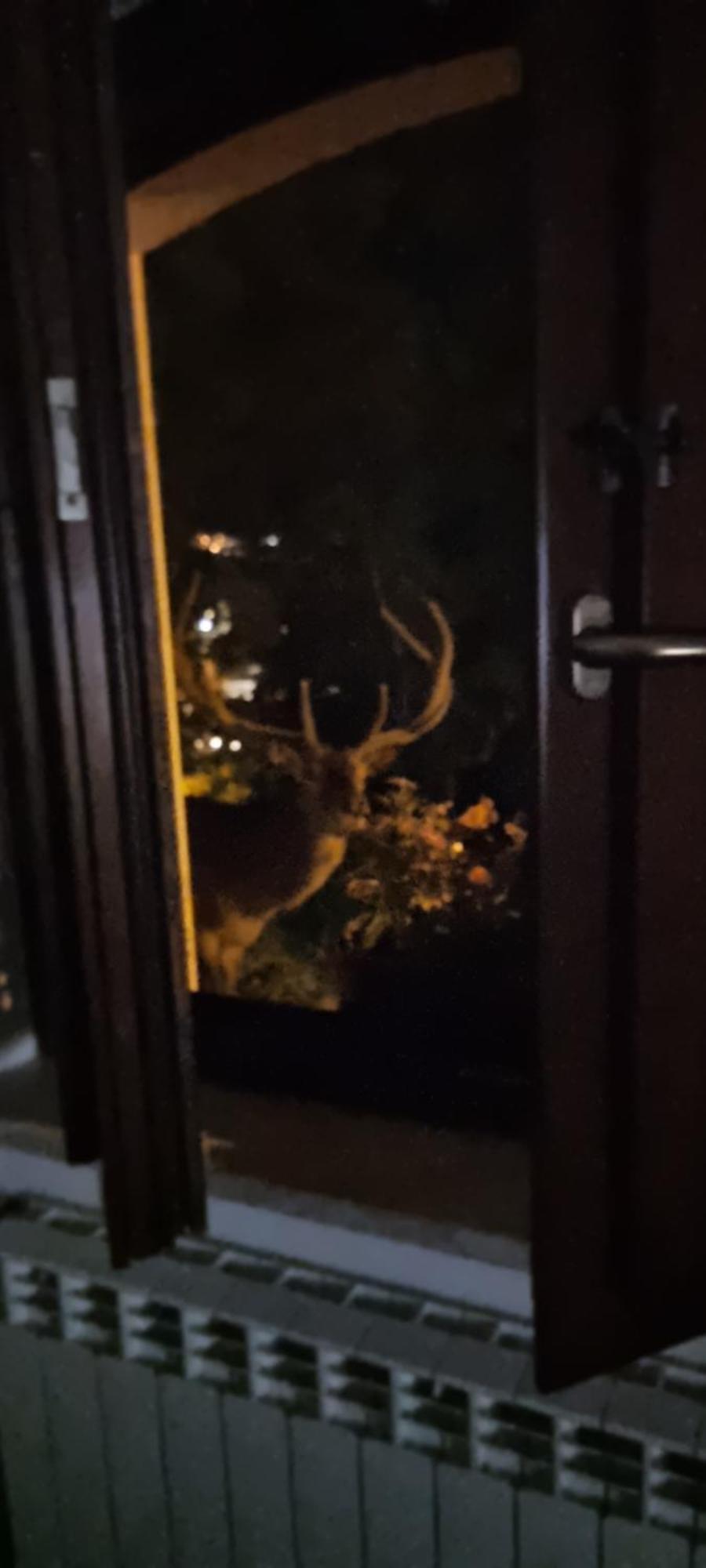 Casa Vacanze Al Castello Villetta Barrea Kamer foto